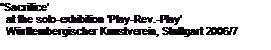 Text Box: ��Sacrifice�  at the solo-exhibition �Play-Rev.-Play�  W�rttembergischer Kunstverein, Stuttgart 2006/7